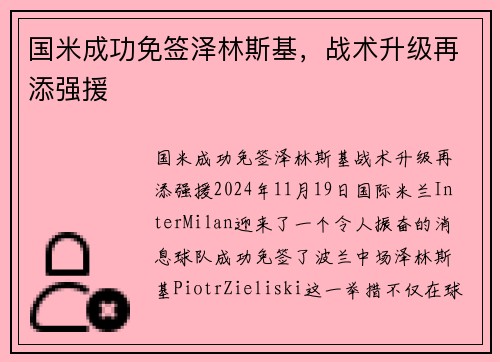 国米成功免签泽林斯基，战术升级再添强援