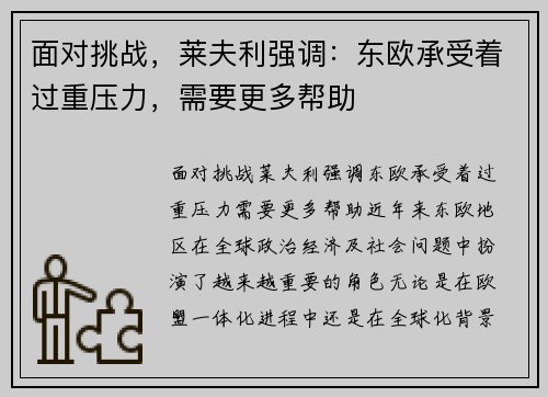面对挑战，莱夫利强调：东欧承受着过重压力，需要更多帮助