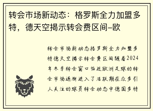 转会市场新动态：格罗斯全力加盟多特，德天空揭示转会费区间-欧
