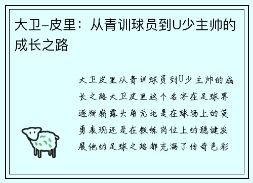 大卫-皮里：从青训球员到U少主帅的成长之路